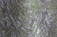 Balne fibreglass roof work